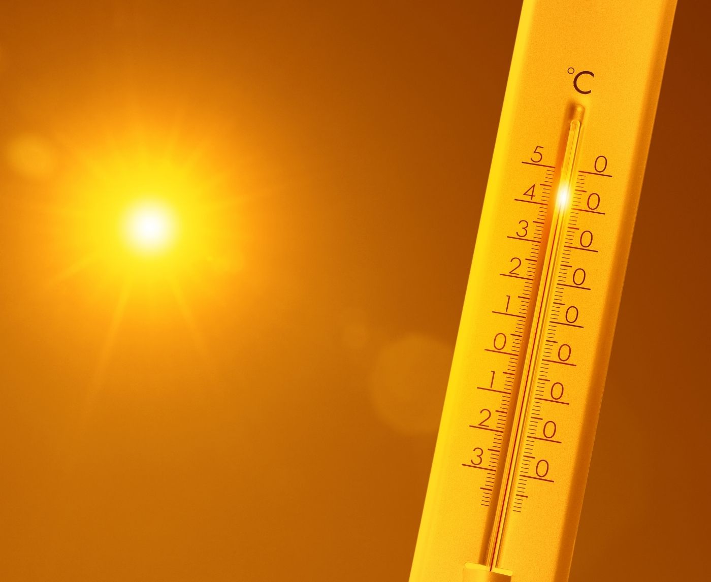 Can Heat or Humidity Ruin an STD Test Kit?