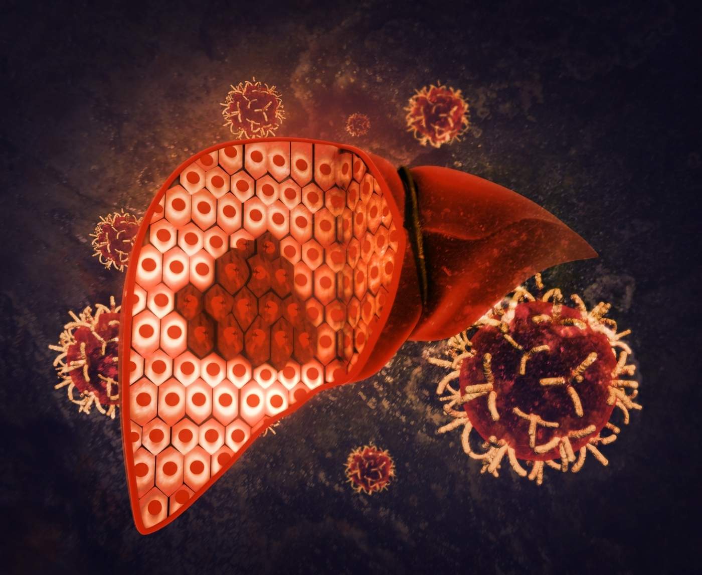 Hepatitis B Transmission, Risks, and Prevention Tips