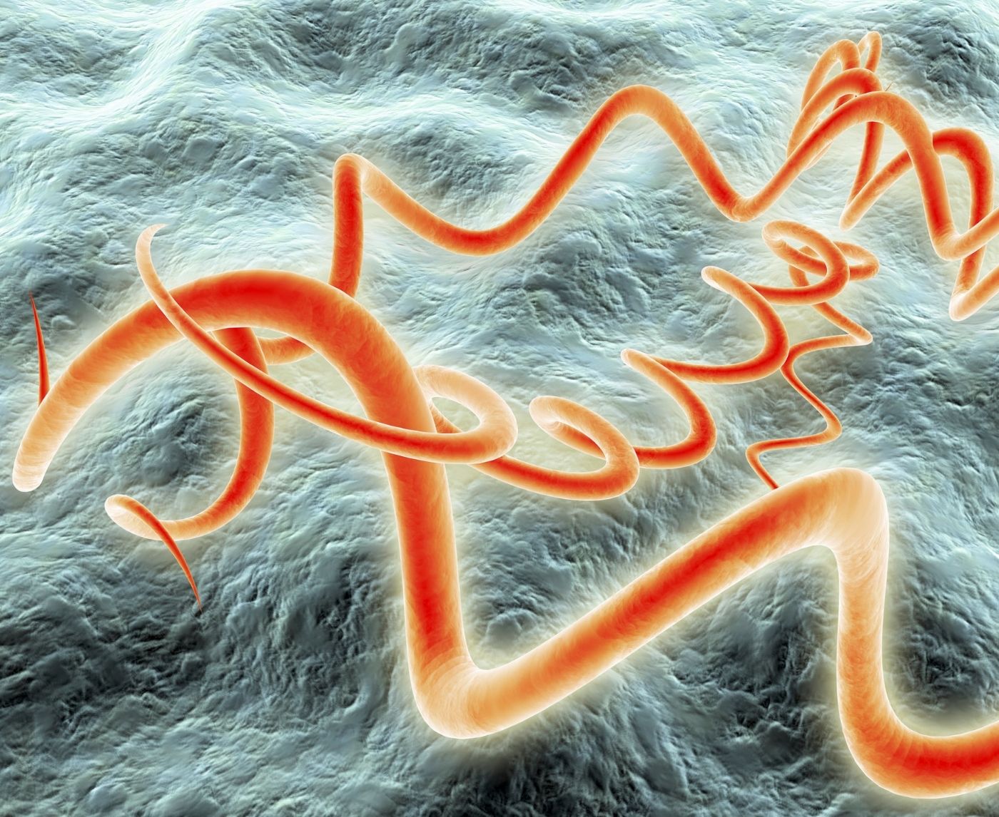 Painless but Contagious: The Truth About Syphilis Sores