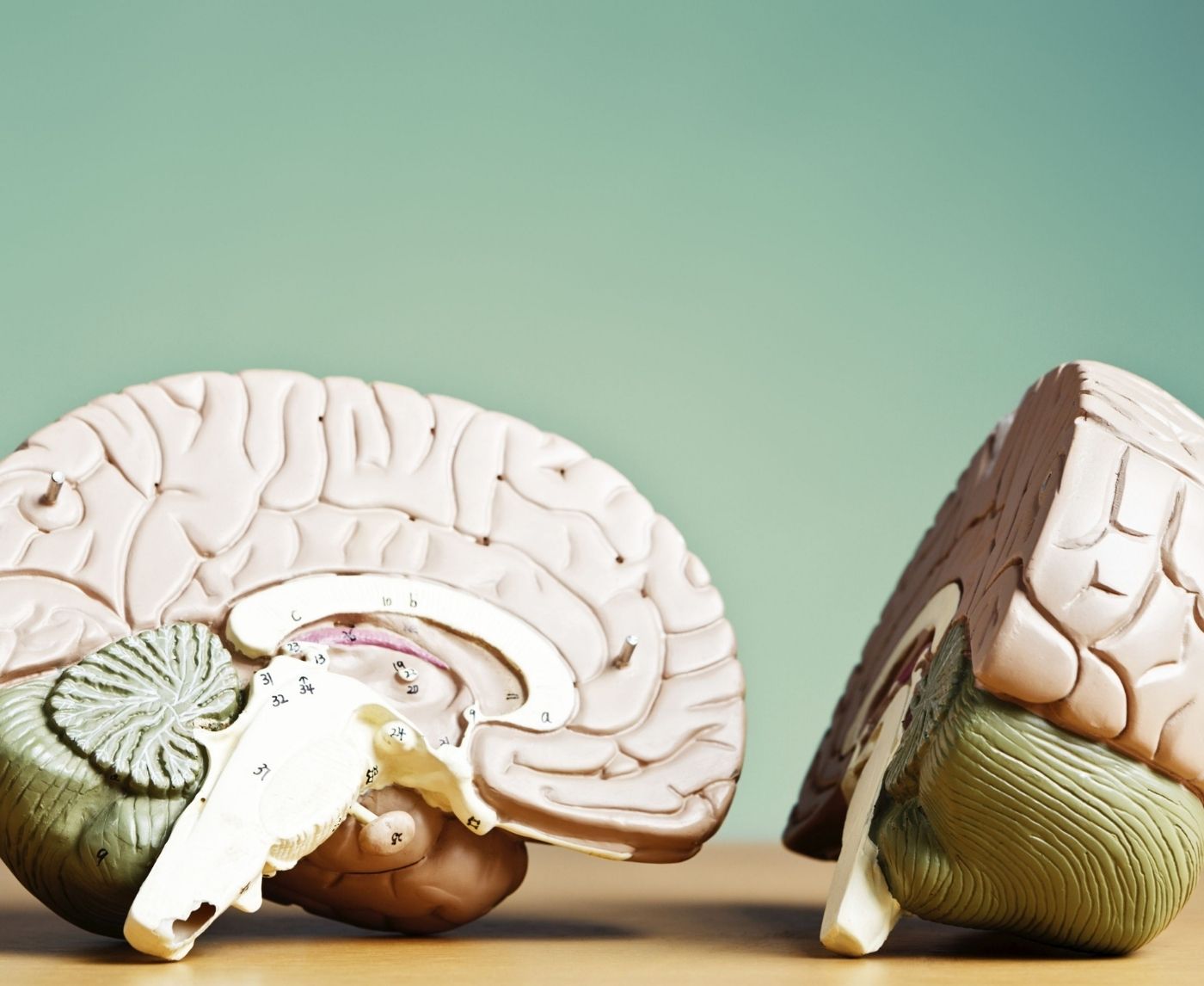 From Sores to Brain Damage: The Real Progression of Syphilis in the Body