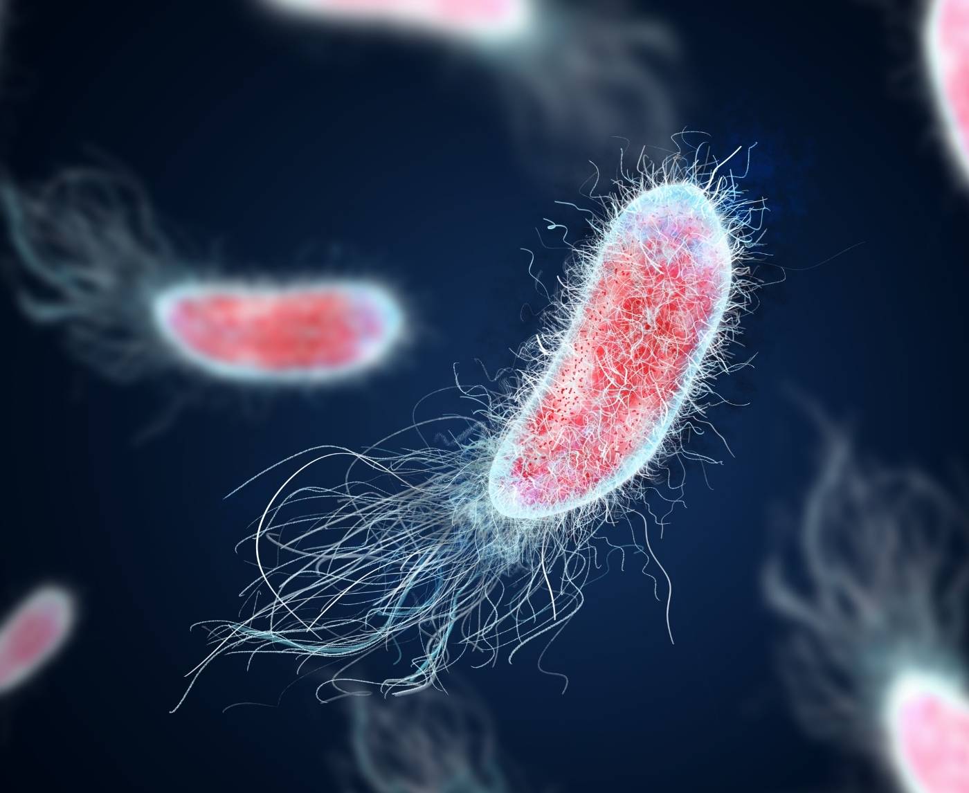 Chlamydia Symptoms in Women: What You Need to Know About Early Detection