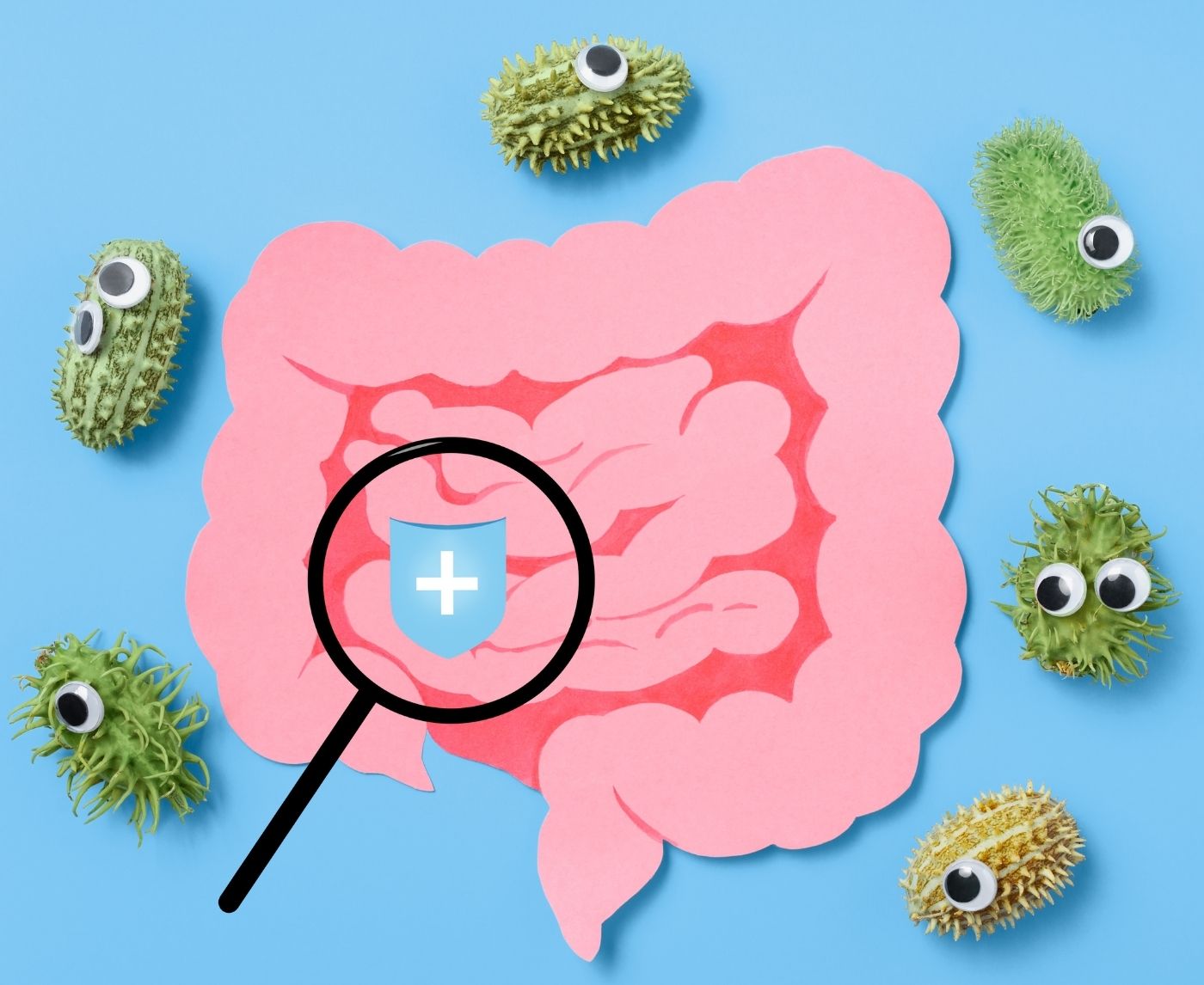 The Possible Role of Probiotics in Reducing STD Risks