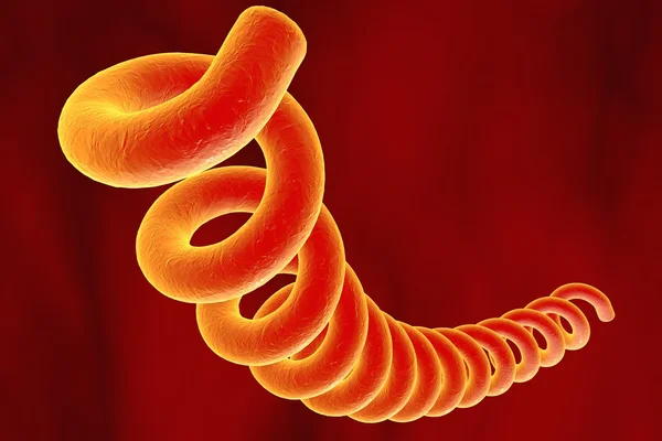 I Got Syphilis and I Wasn’t Even Having Sex