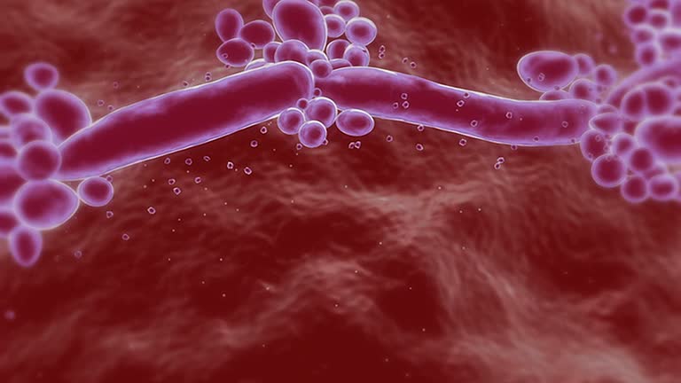 Men Get Yeast Infections Too, And It’s Not an STD