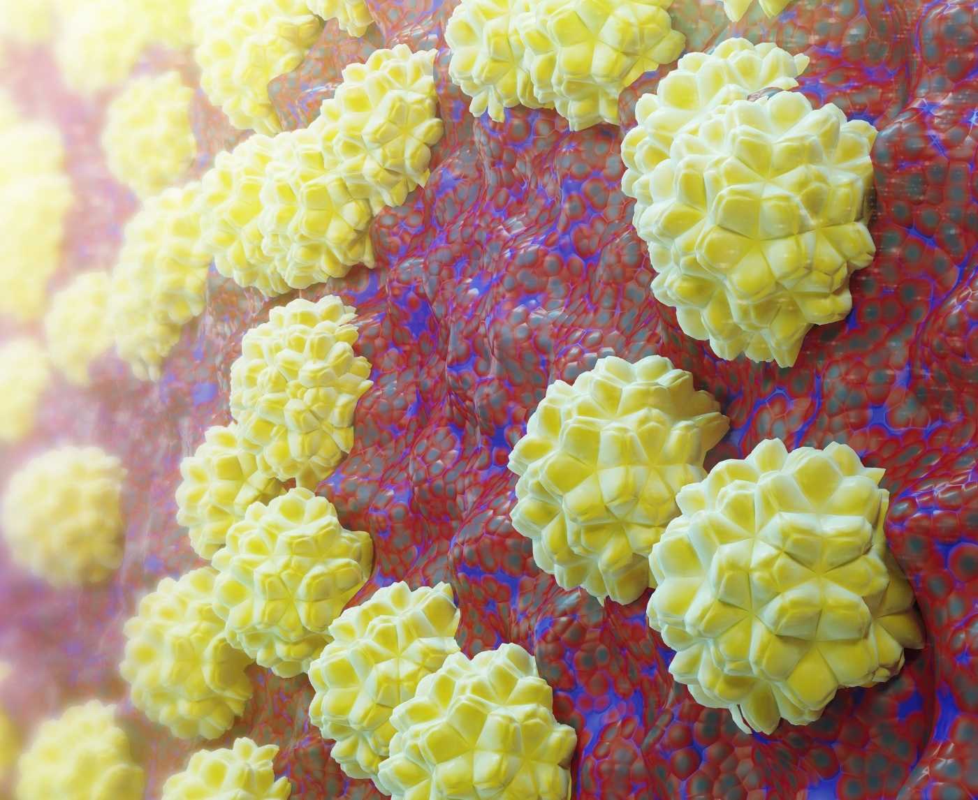 The Hidden Dangers of Untreated Chlamydia