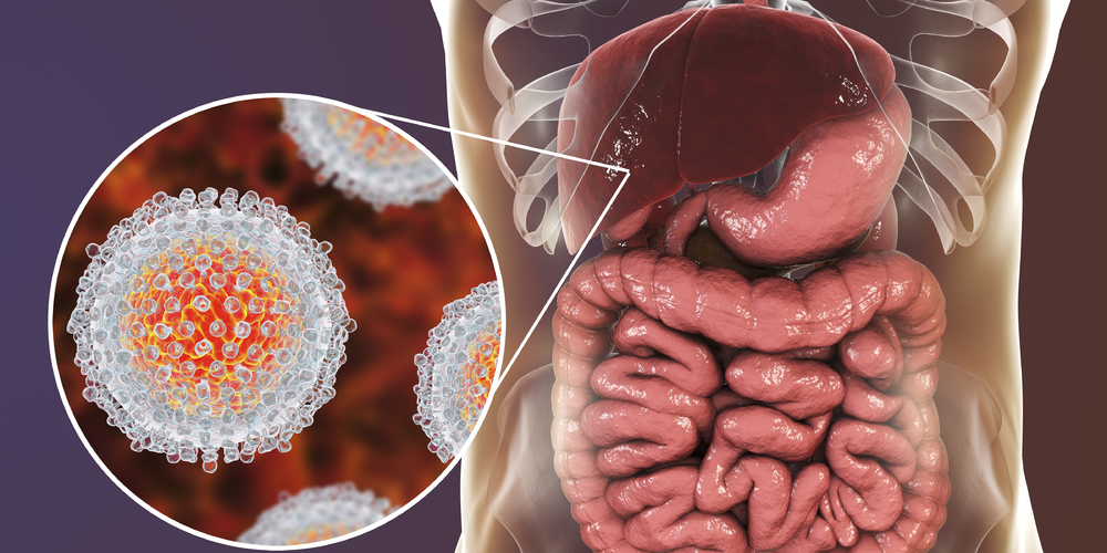 Difference between Hepatitis B and C