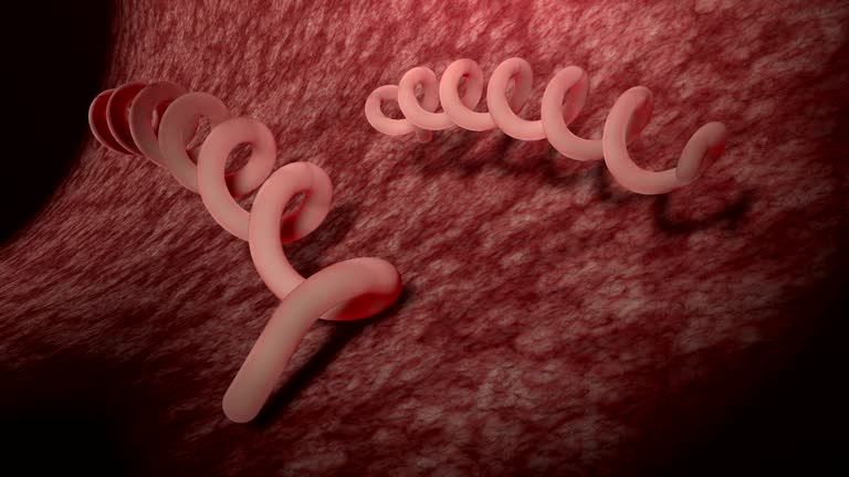 What Does Syphilis Look Like?