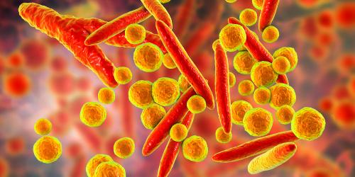 Mycoplasma Genitalium (Mgen) - An Underestimated STD