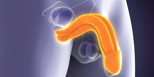 Discharge from the Penis: A Symptom That Develops Quickly with STD Infection