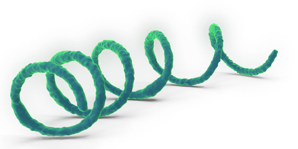 All about syphilis sore (chancre)