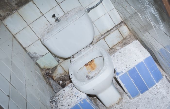 Herpes toilet seat myth image